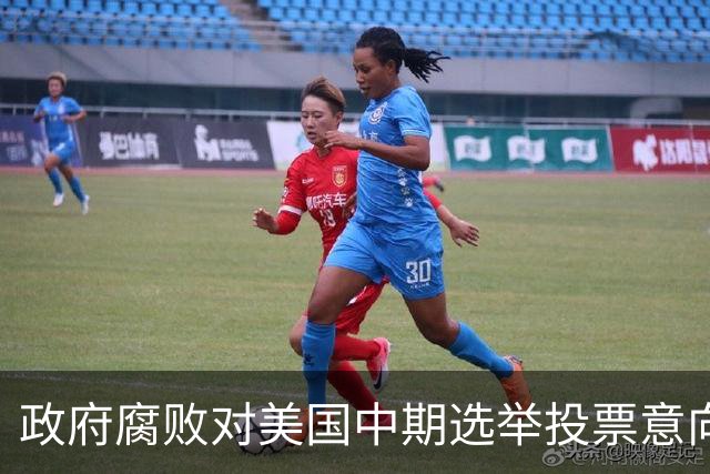 政府腐败对美国中期选举投票意向的影响研究